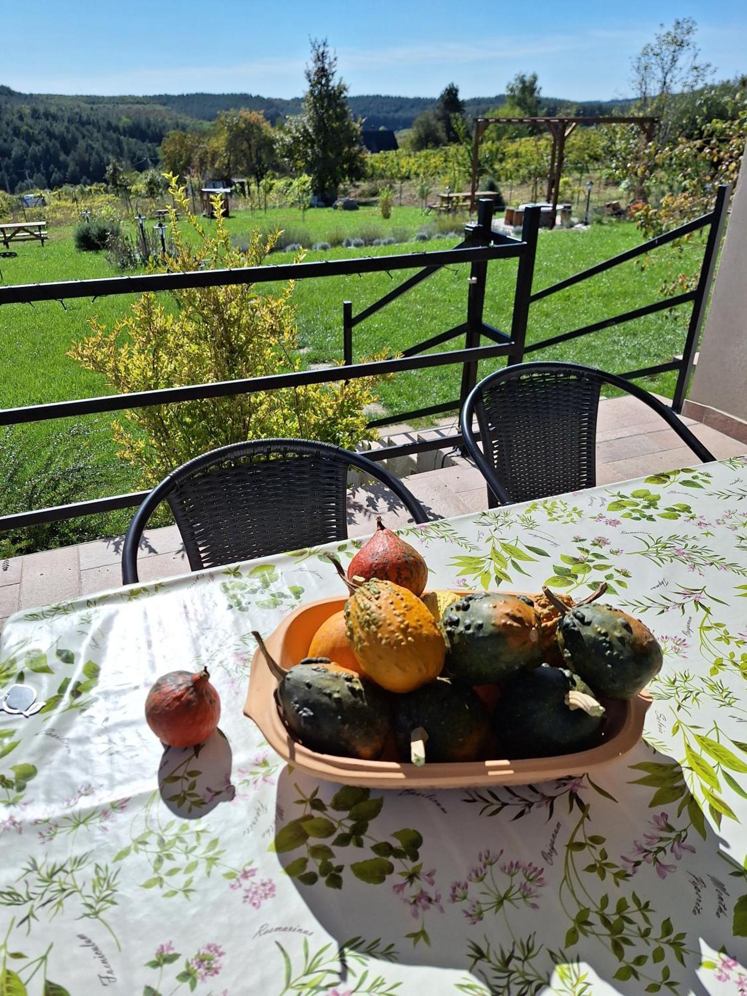 Zoeld Terasz Vendeghaz Apartment Egerszalok Luaran gambar